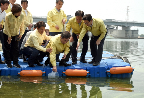 Visit to the site of Green Tide in Nakdonggang River